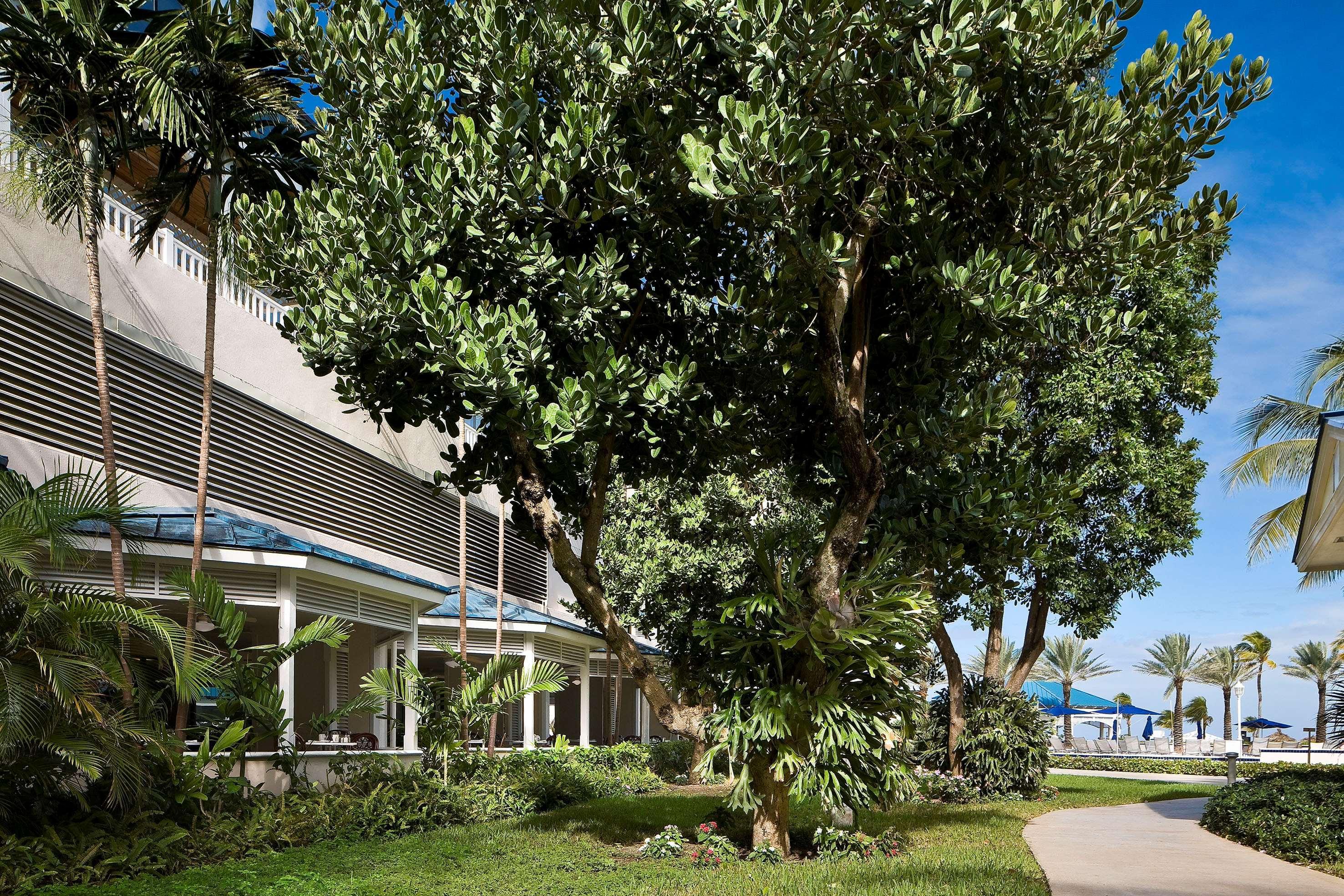 Melia Nassau Beach Exteriér fotografie